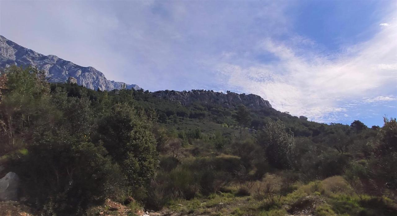 Luxury Apartment Pape Baška Voda المظهر الخارجي الصورة